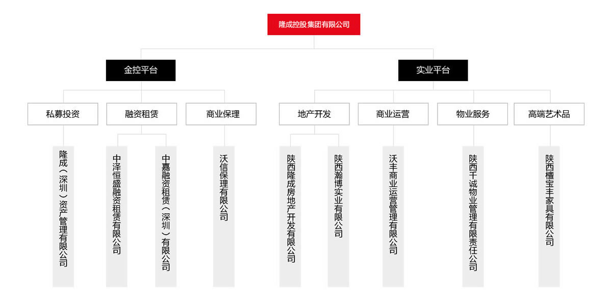 匯高OA系統(tǒng)陜西區(qū)為隆成控股集團(tuán)公司進(jìn)行管理升級！